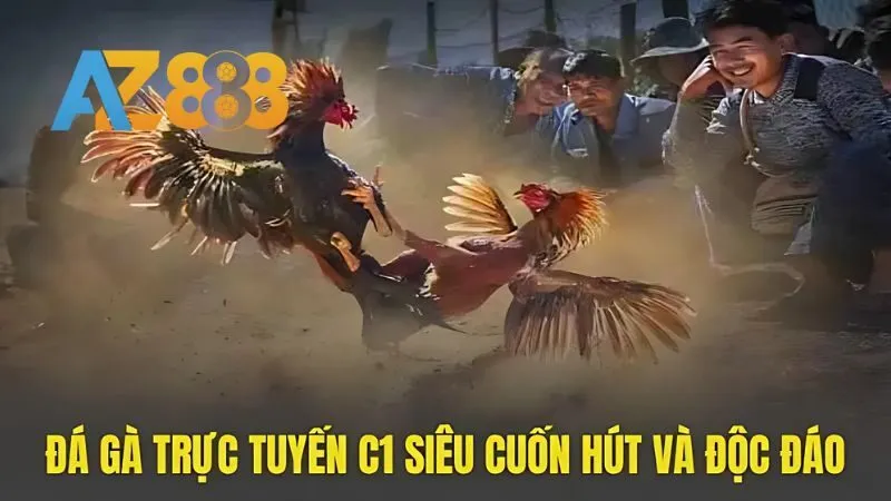 Phân loại các kiểu đá gà