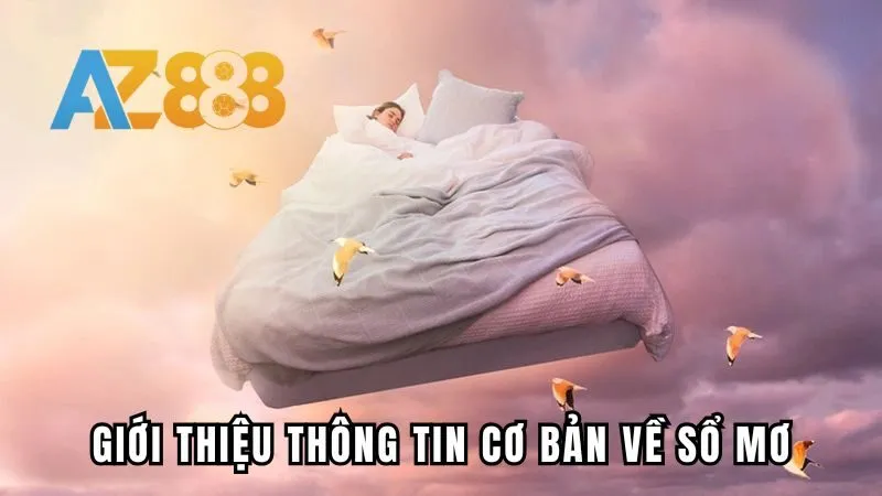 Giới thiệu thông tin cơ bản về sổ mơ